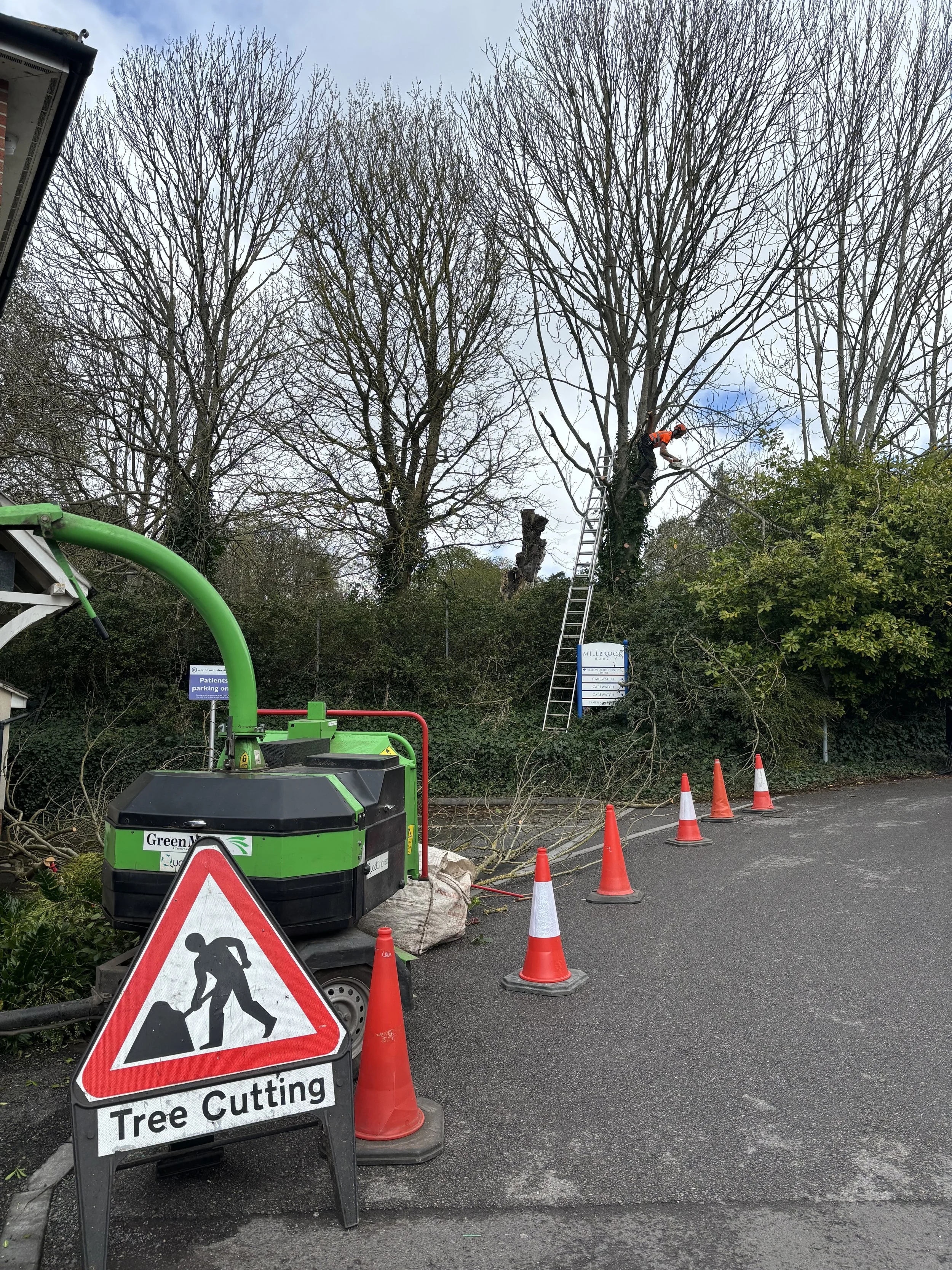 charles-green-clevedon-tree-surgery.jpeg