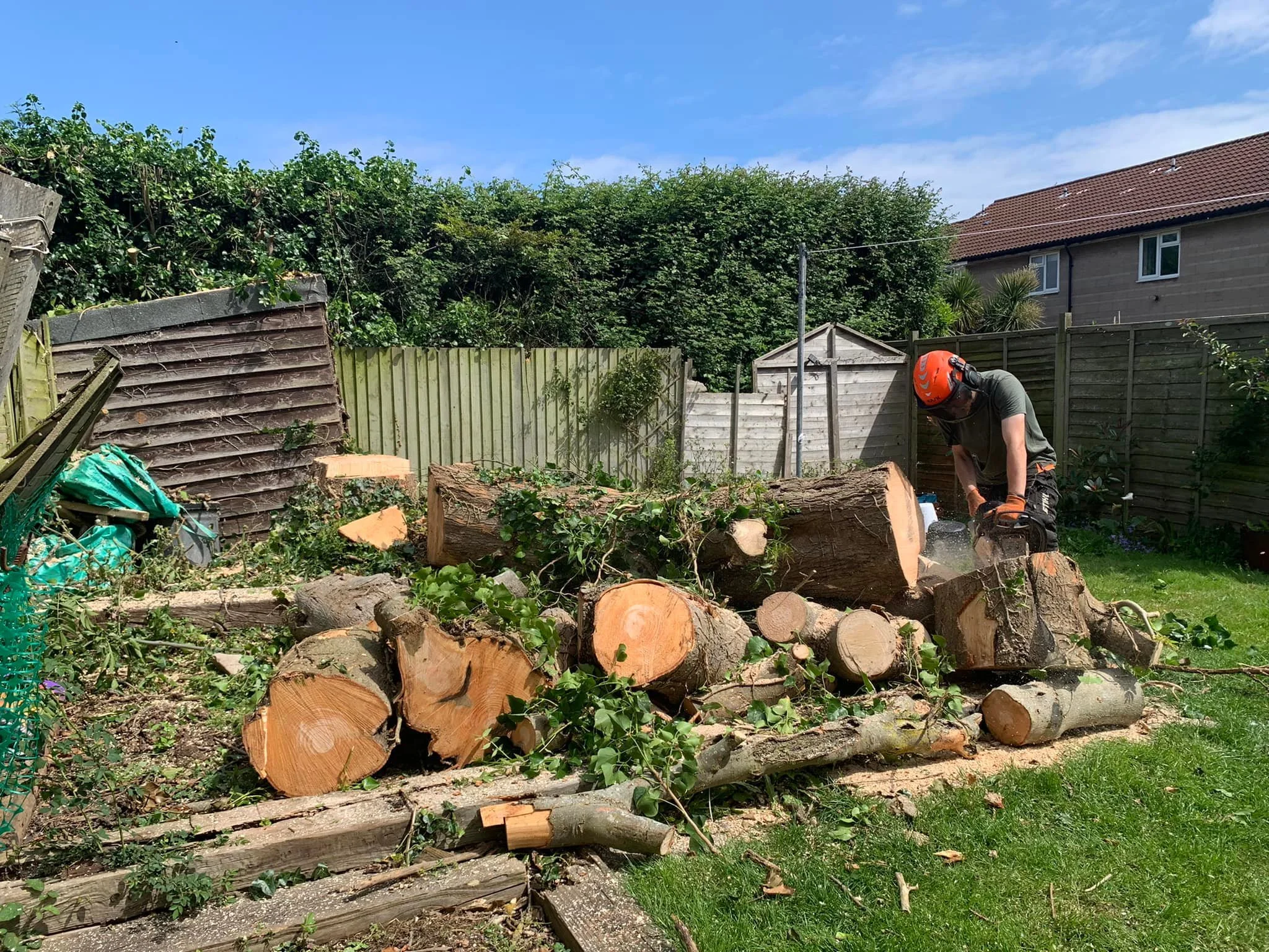 Tree Surgeon Clevedon