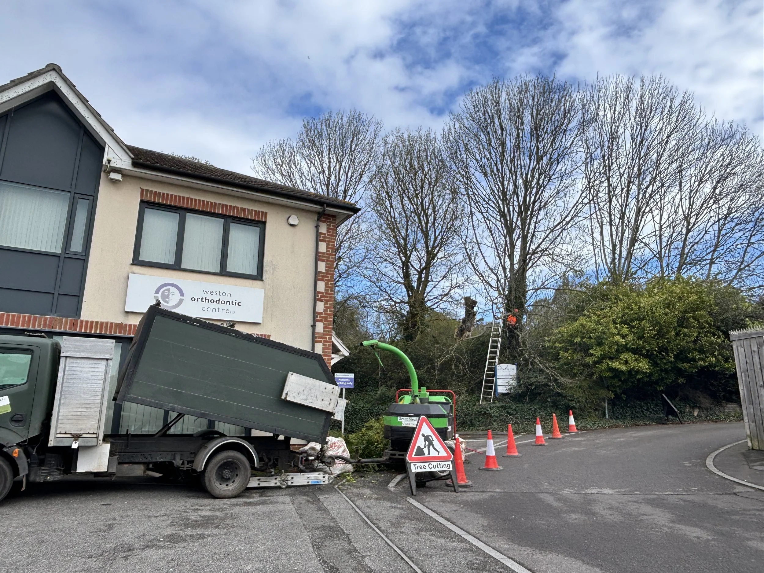 tree-surgeon-somerset.jpeg