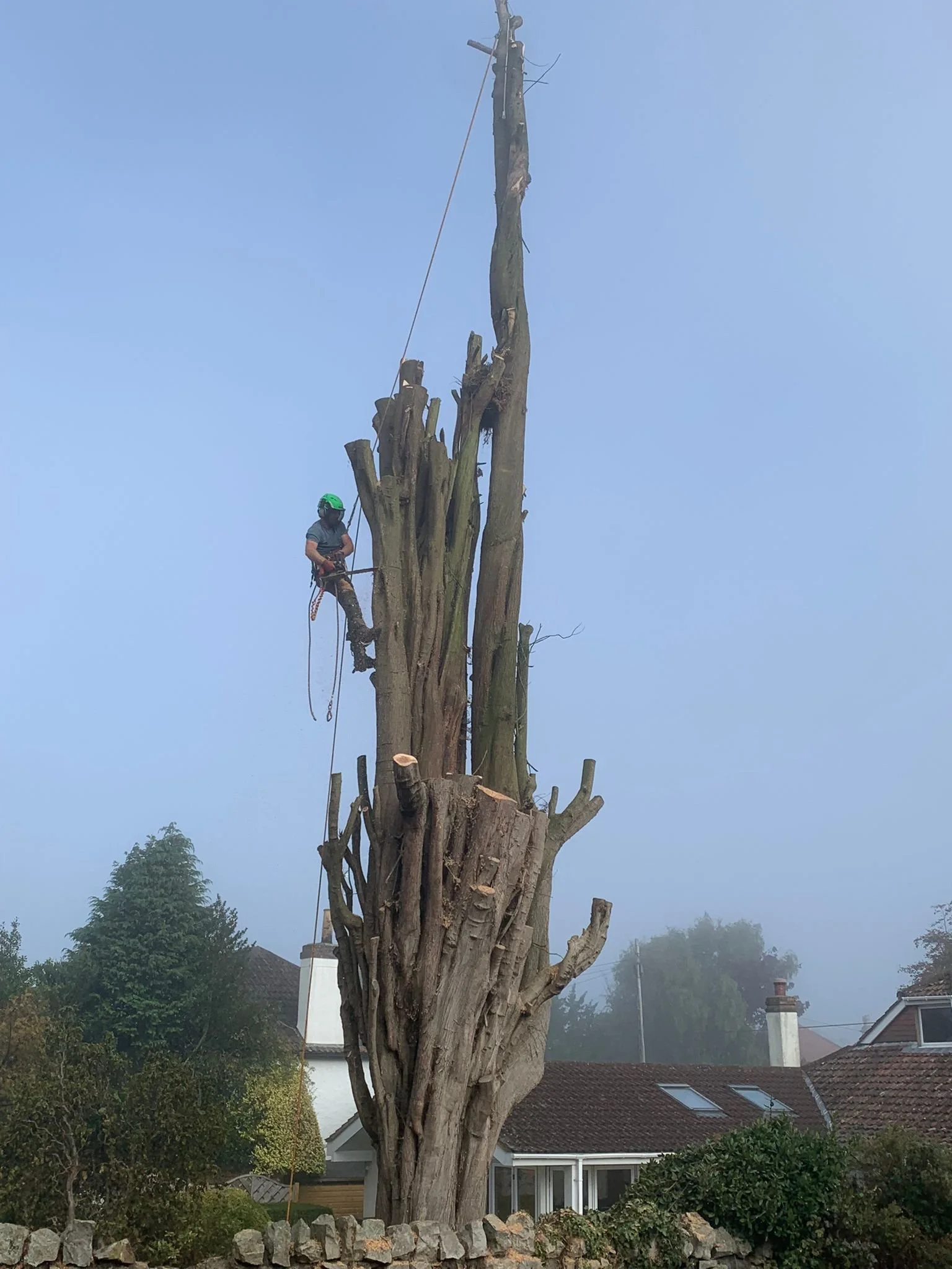 north-somerset-tree-surgeon.jpeg