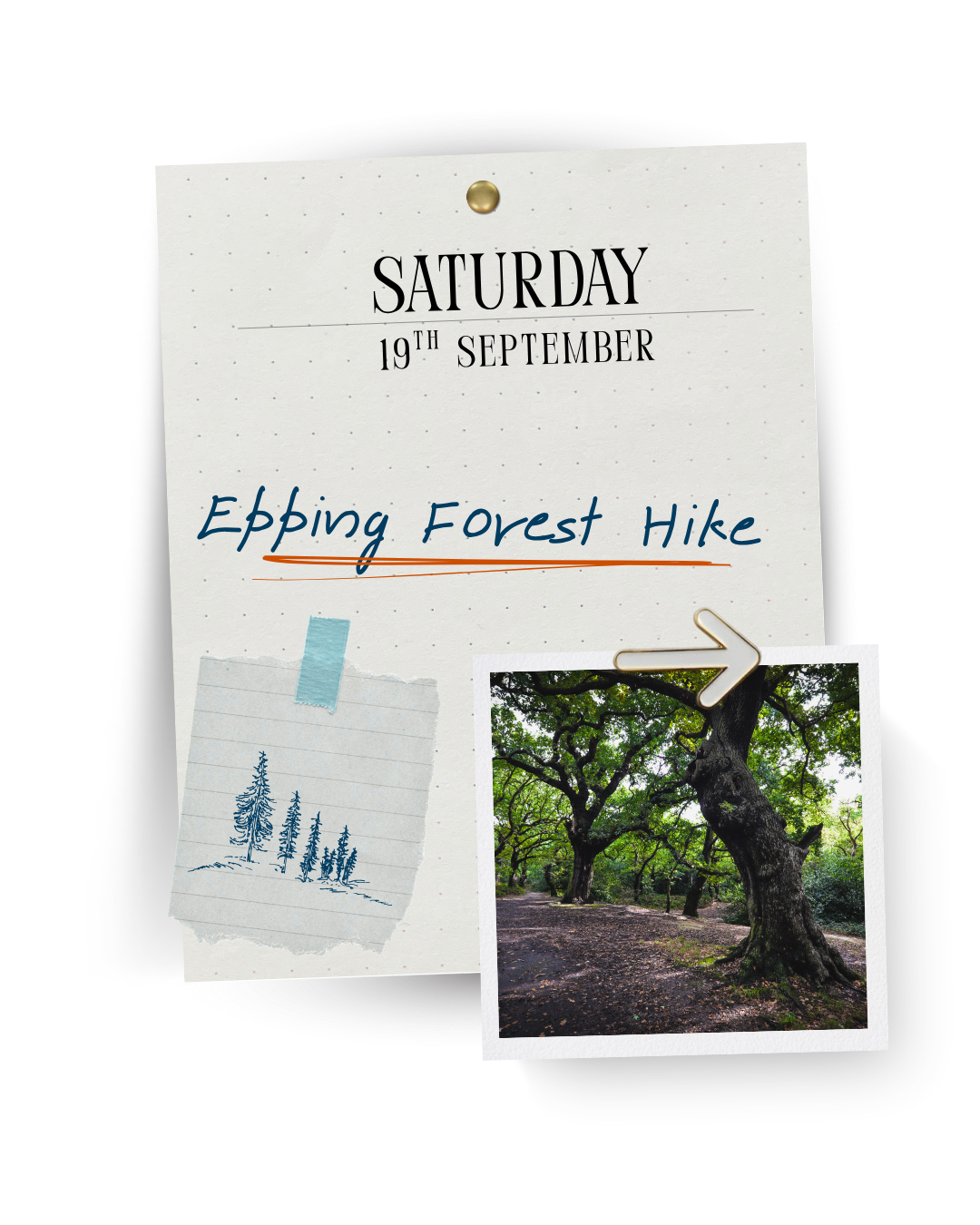 Epping Forest Loop & Picnic
