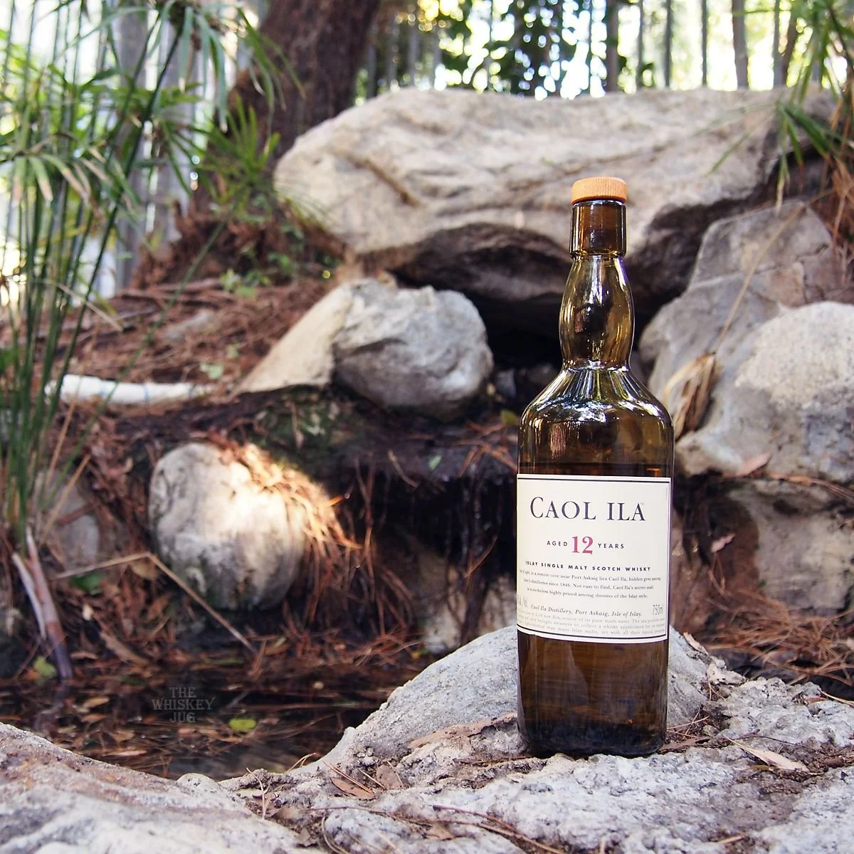 Caol Ila 12 Y.O. Single Islay Malt karbis