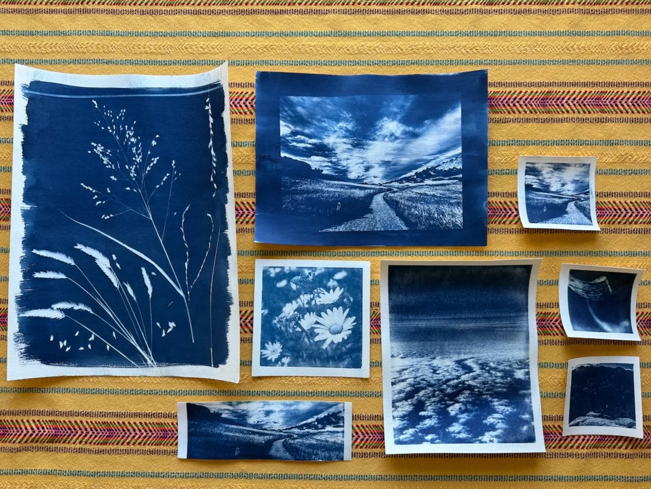 Tangled Up in Blue: A Cyanotype Adventure