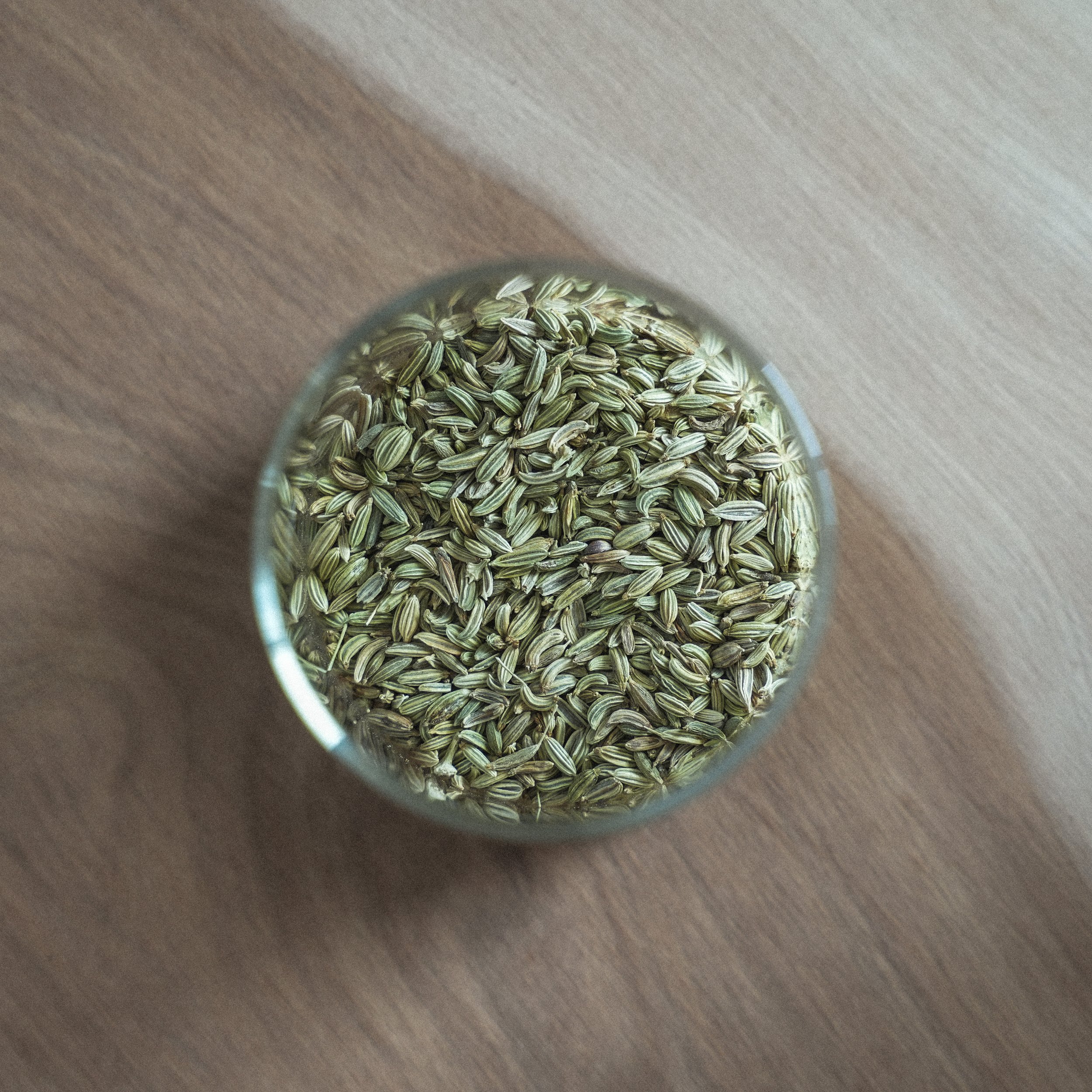 FENNEL