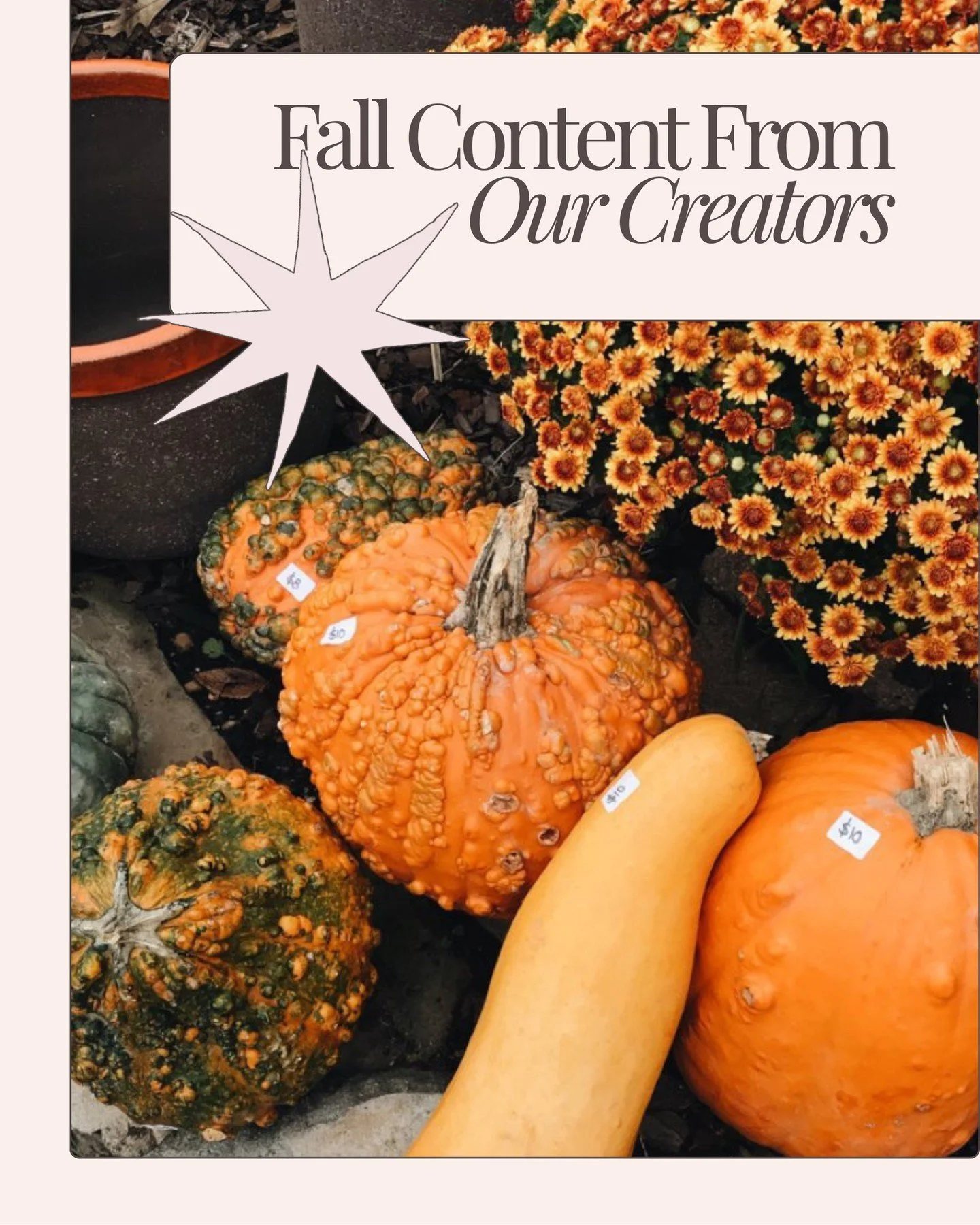 PSL season is finally here and our family creators are serving all the best recipes, outfit ideas, and mom hacks!