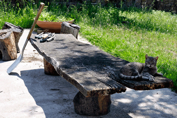 20_20090512_CAPALIA_0013.gif