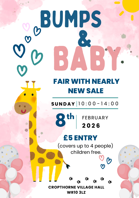 Bumps and Babies Fair