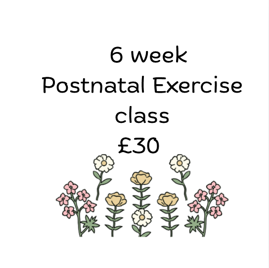 postnatal exerse .png