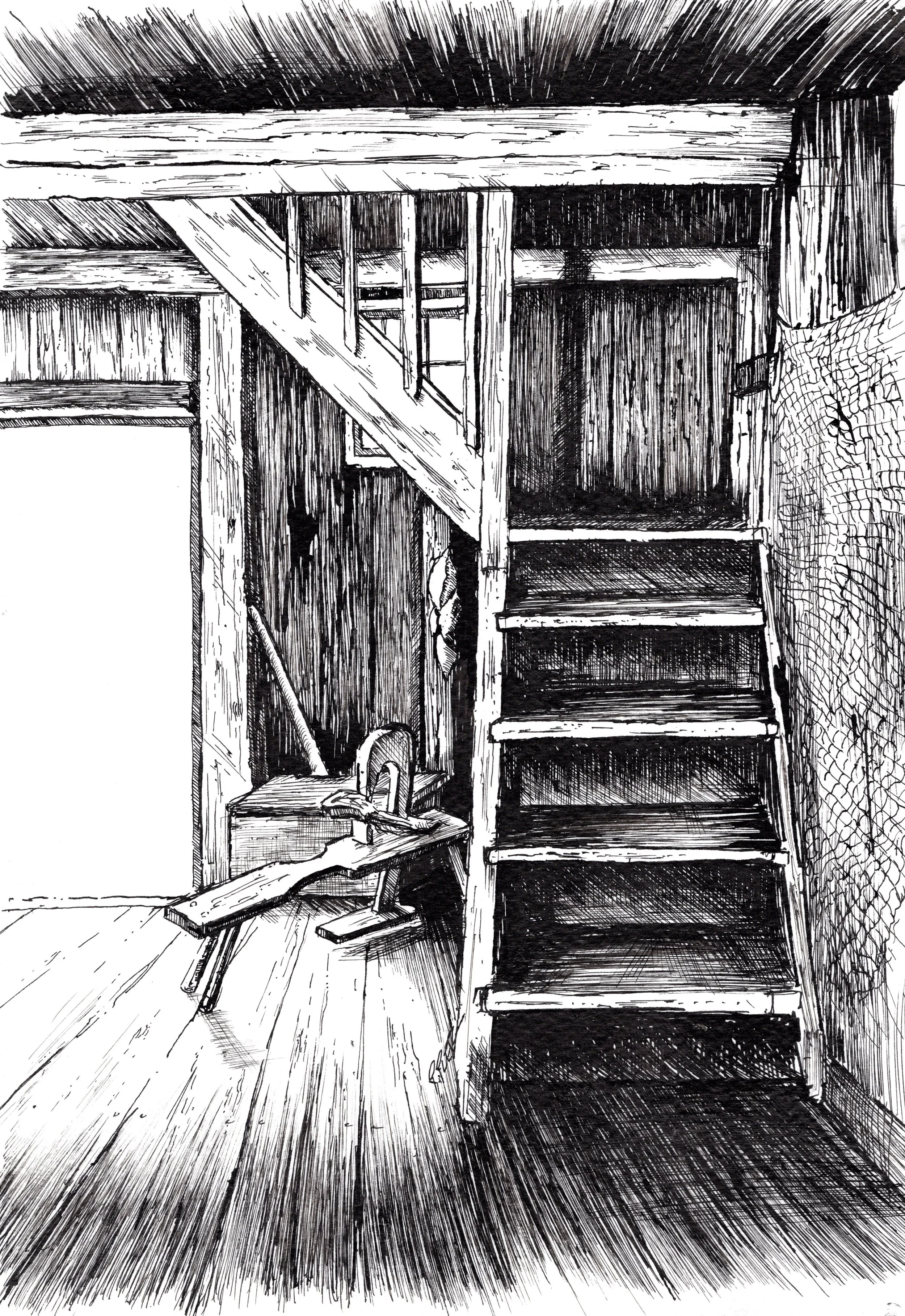 Attic Stairs and Net.jpg