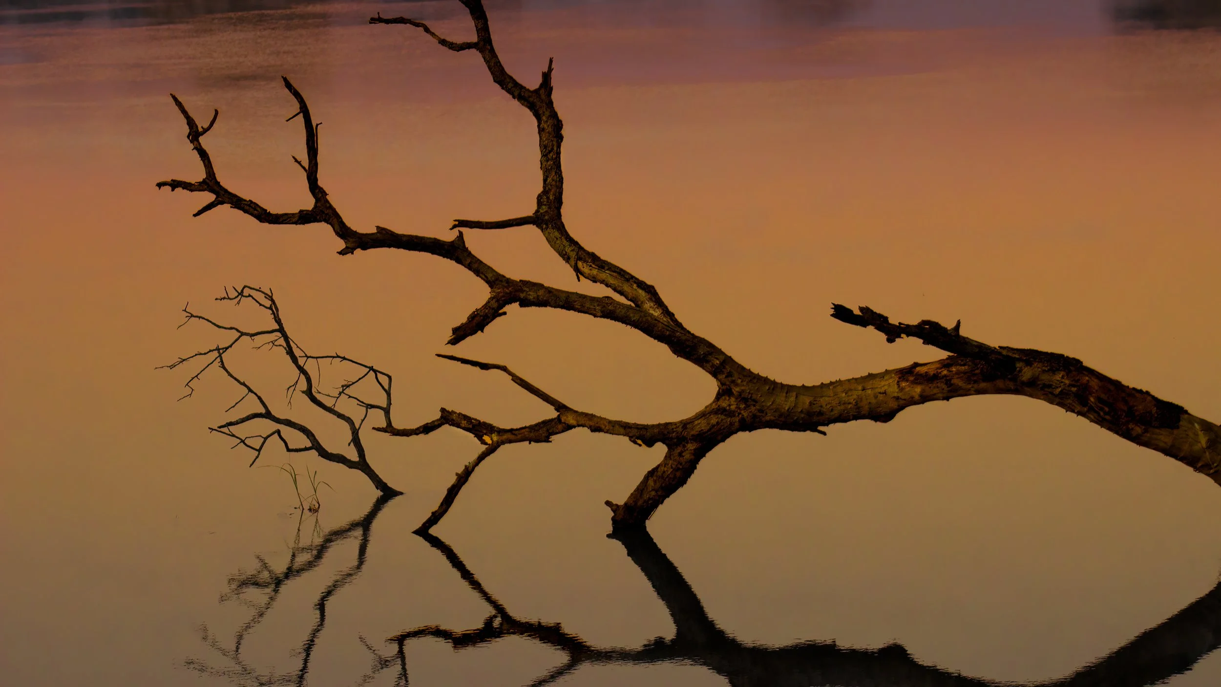 Reflections on the river