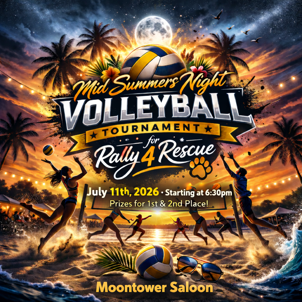 Mid-Summer Night’s Volleyball Tournament