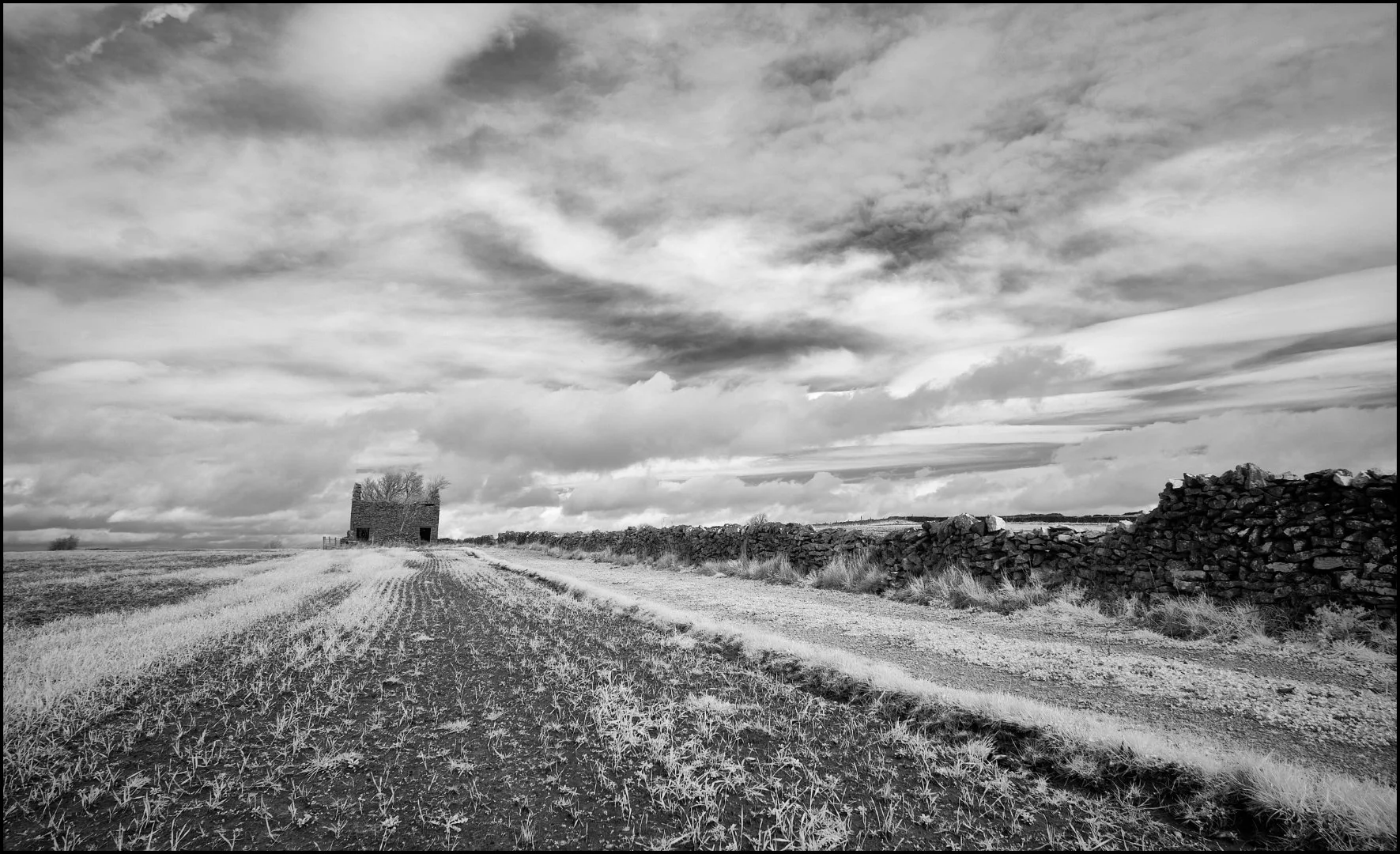 Derelict Barn - RUNNER UP - Sue Evans ARPS