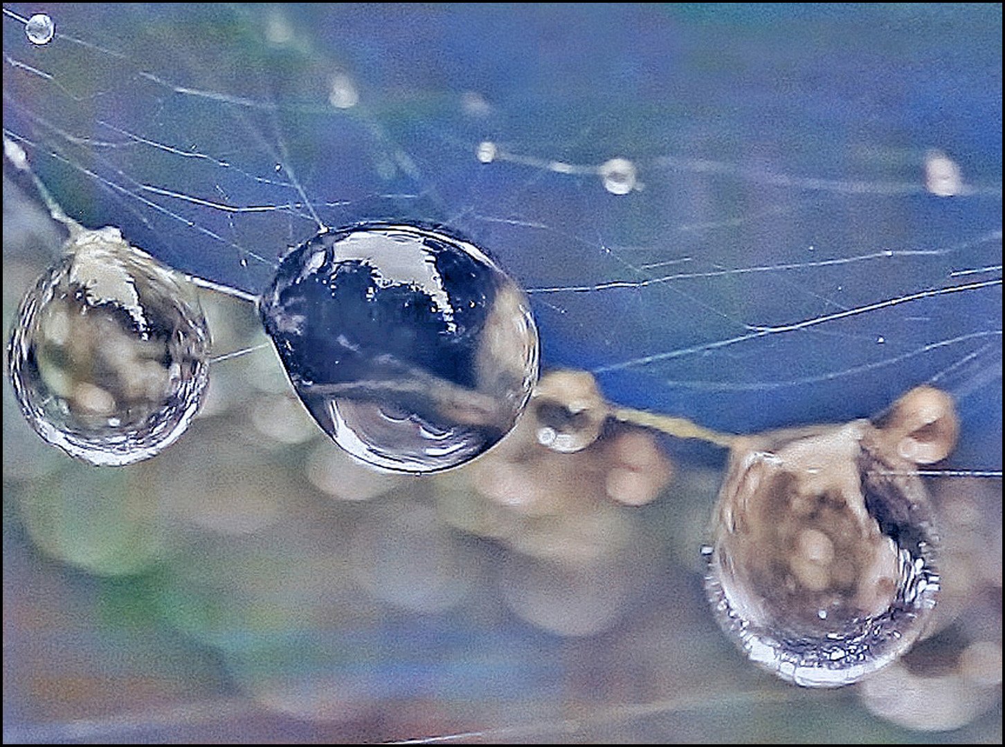 Water drops 1.jpg