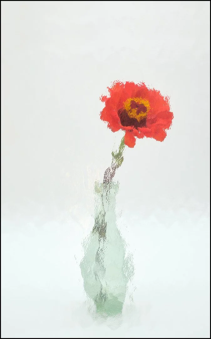 Runner Up  Floral  Surrealism Sue Evans ARPS/CPAGB/LSINWP/BPE1