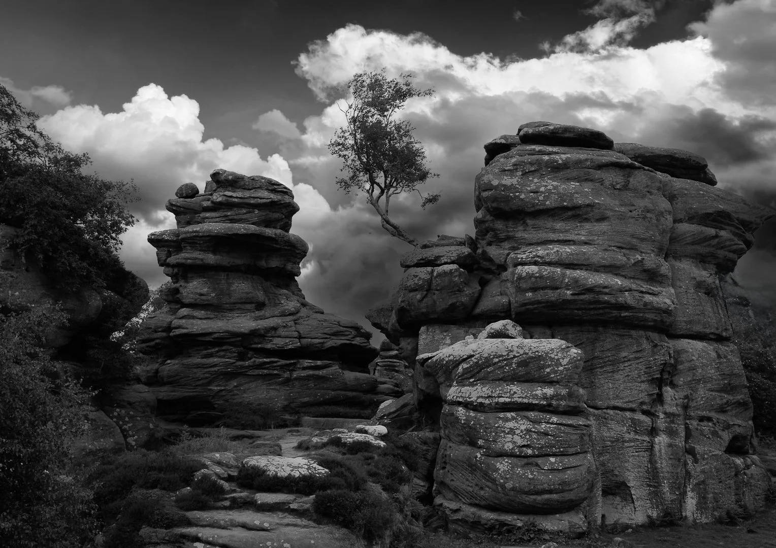 Brimham Rocks Debbie Flowerdew