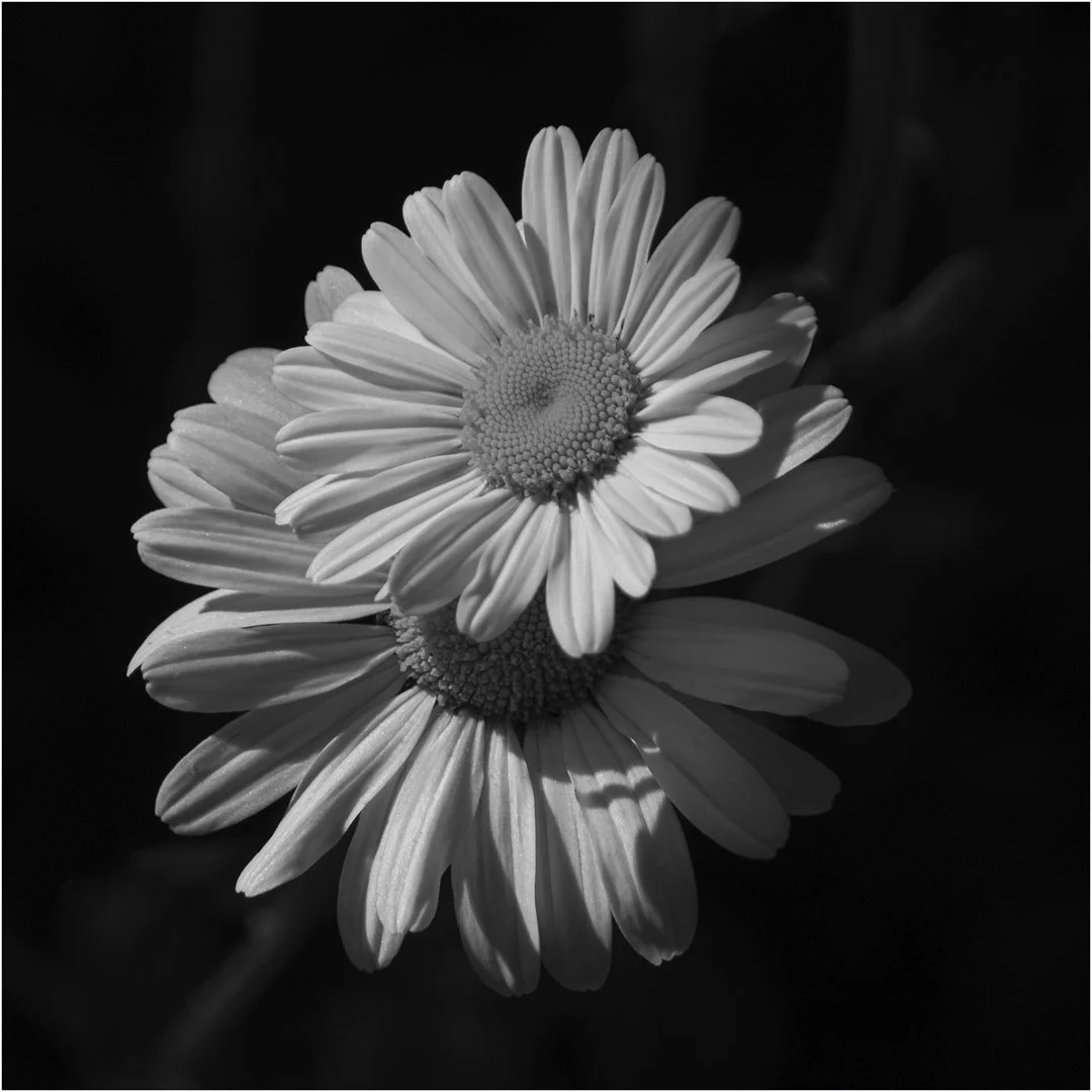 Pushing through - Teresa Chaundy Brain