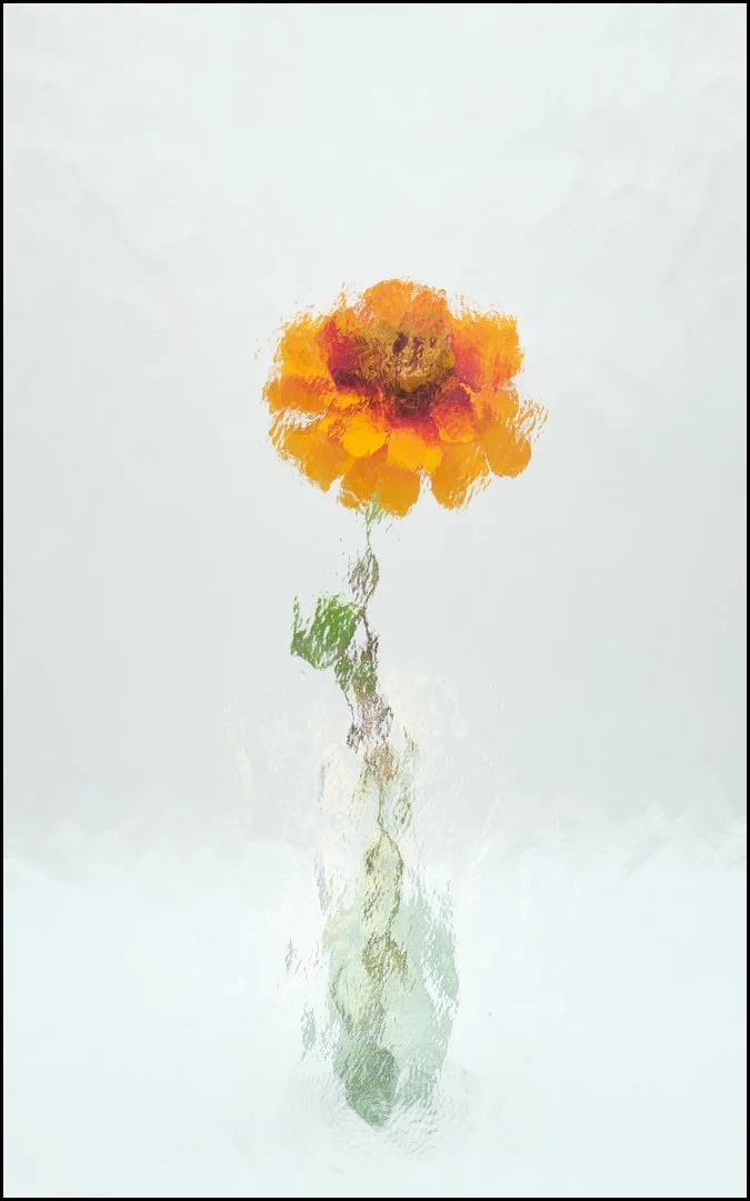 Sequence 2 Sue Evans ARPS/CPAGB/LSINWP/BPE1