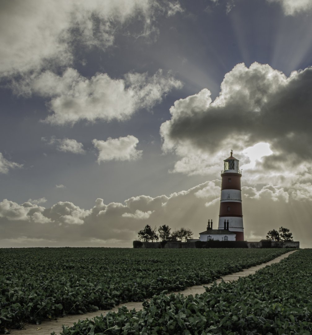 Morning At Happisburgh Debbie Flowerdew