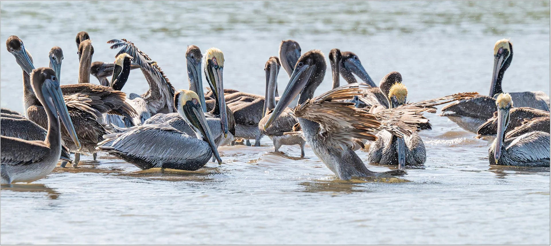 Bathtime - 2nd RUNNER UP - Sandy Cowley LSINWP