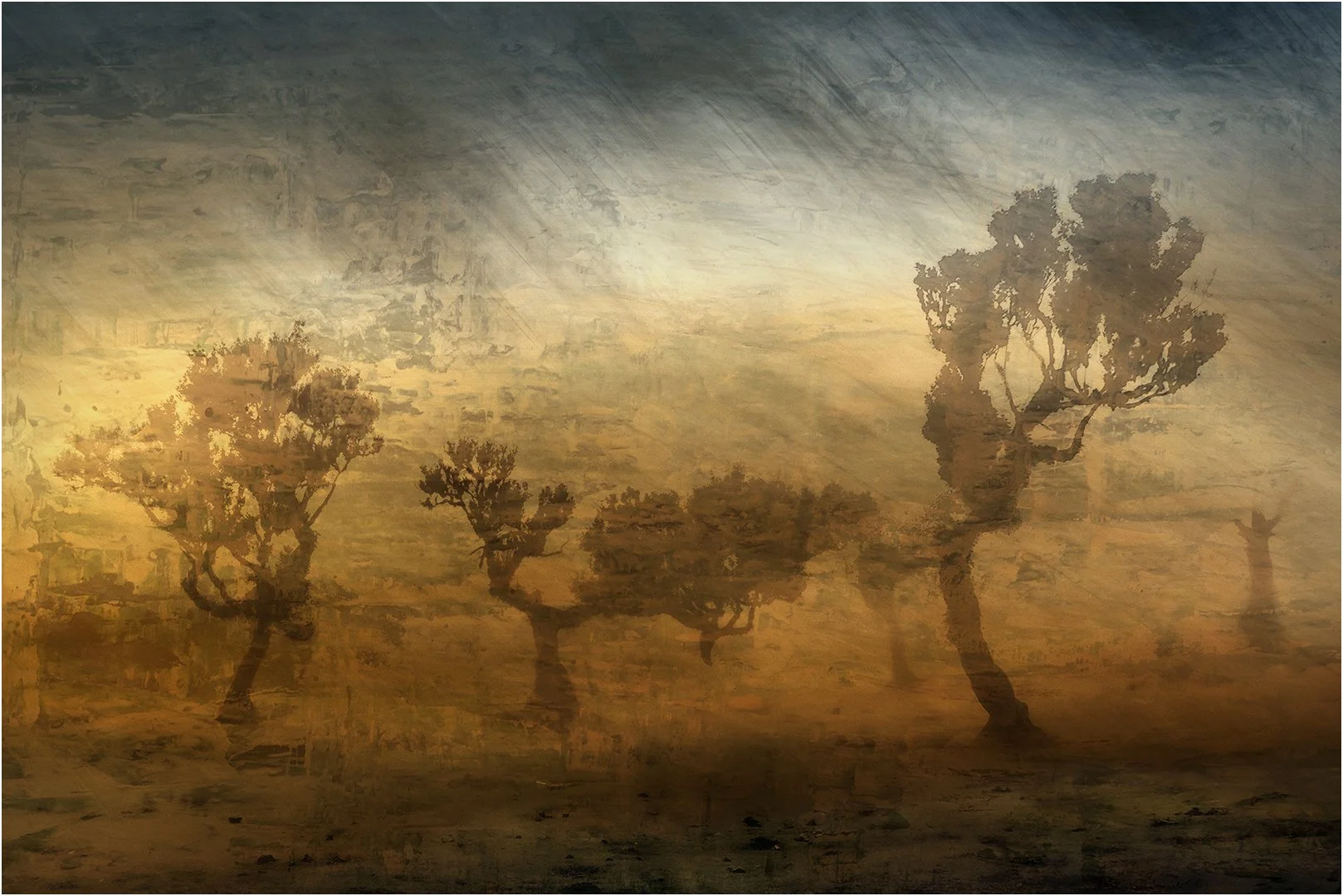 Sequence 5 Steve Knight