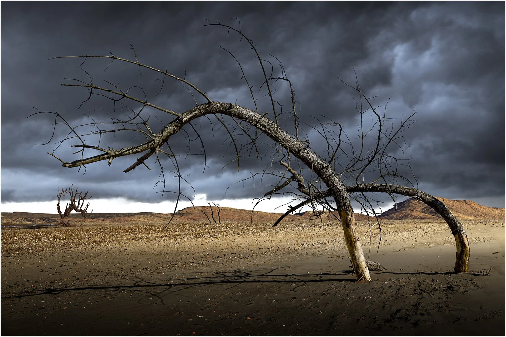 Runner Up Desolate Steve Knight