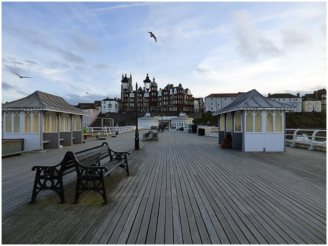 Cromer Peter Nicholls