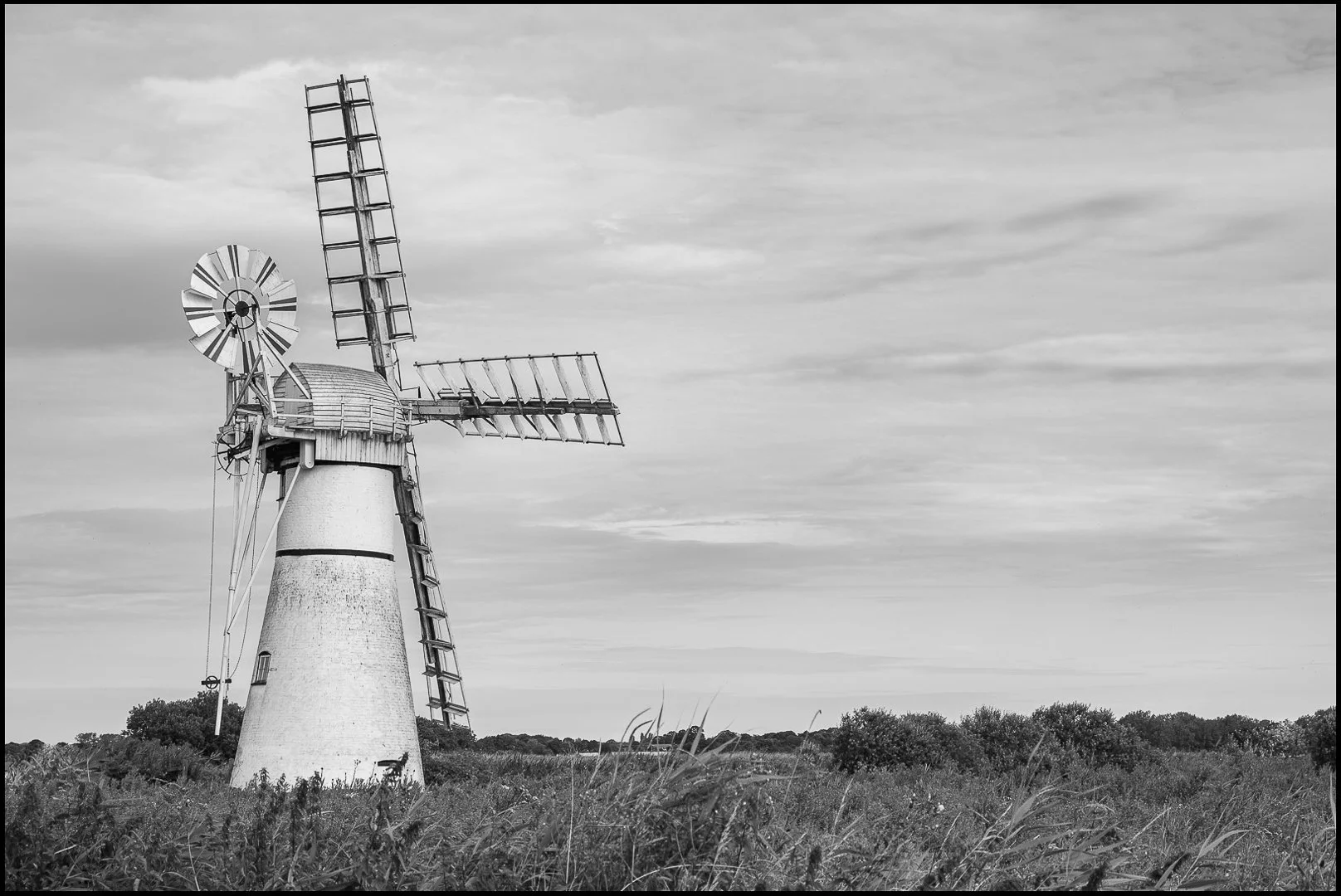 Thurne windmill - Sandy Cowley