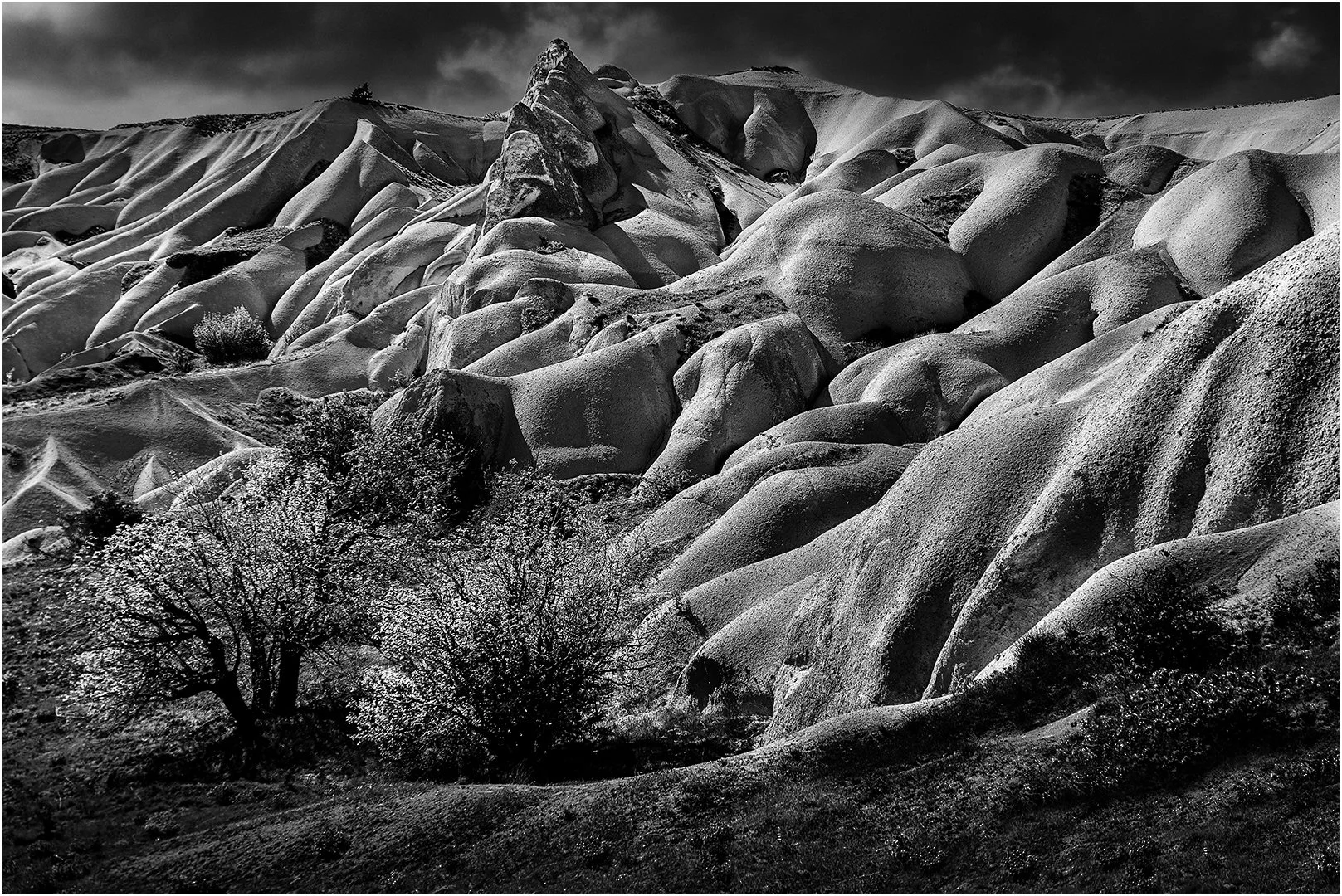 Winner. Hills Of Cappadocia. Steve Knight