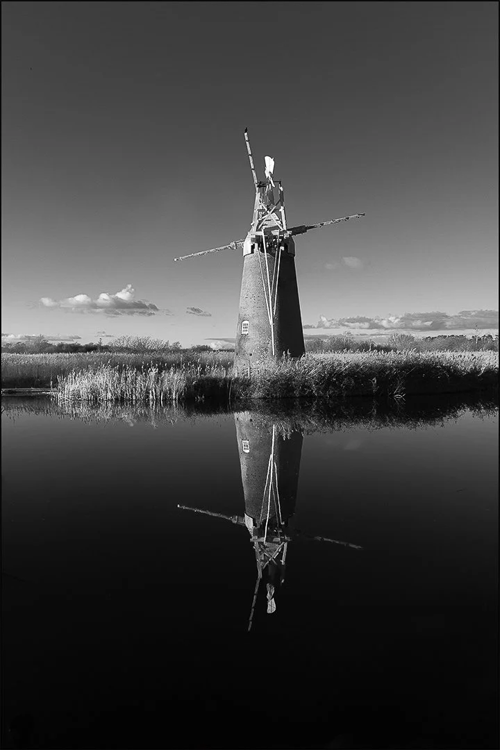 Tern fen on reflection - Jennie Mursell