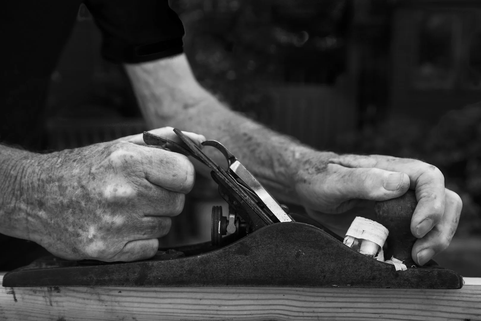 The Carpenter - Louise Dolan