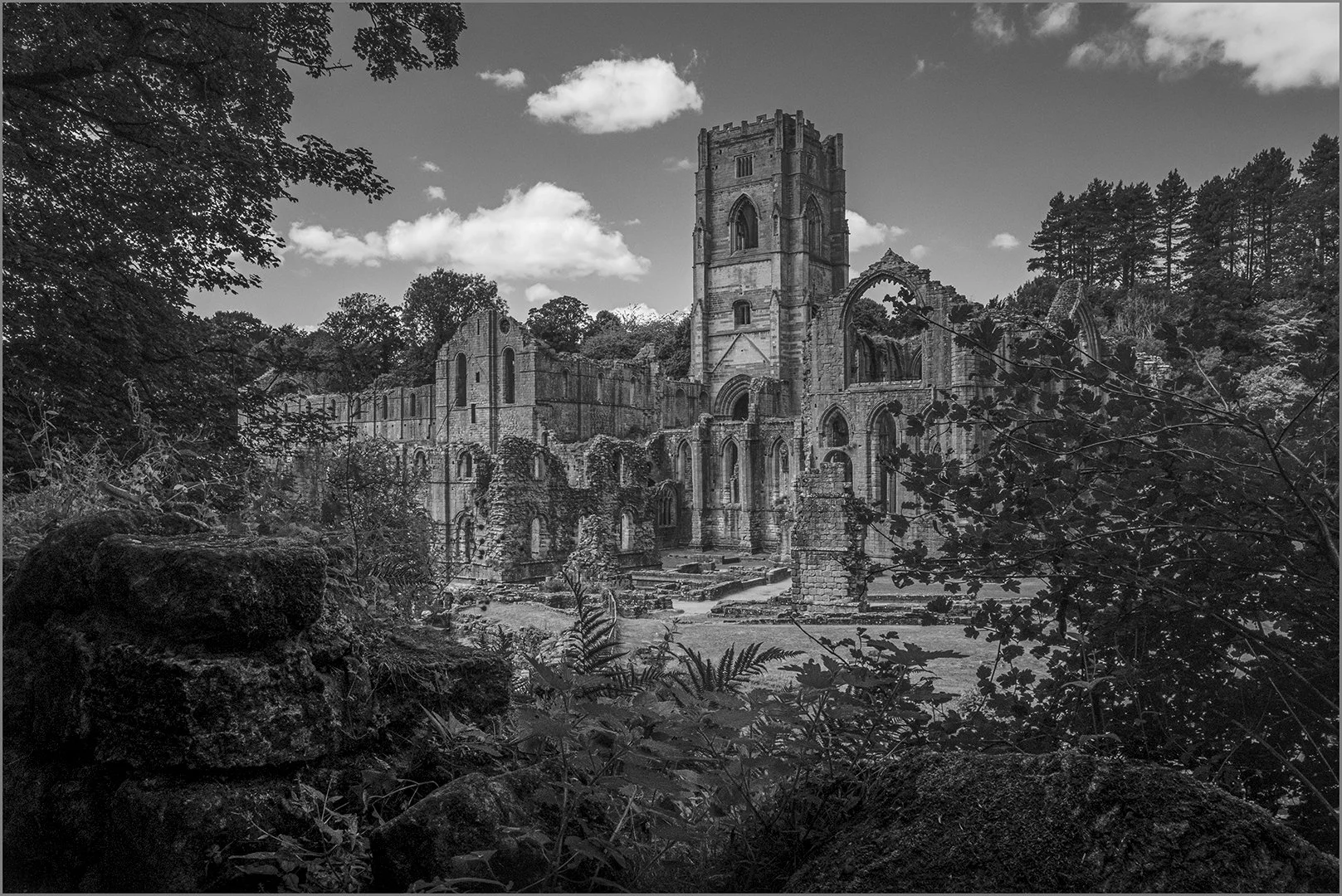 Founatains abbey from high path - Gillian Denny