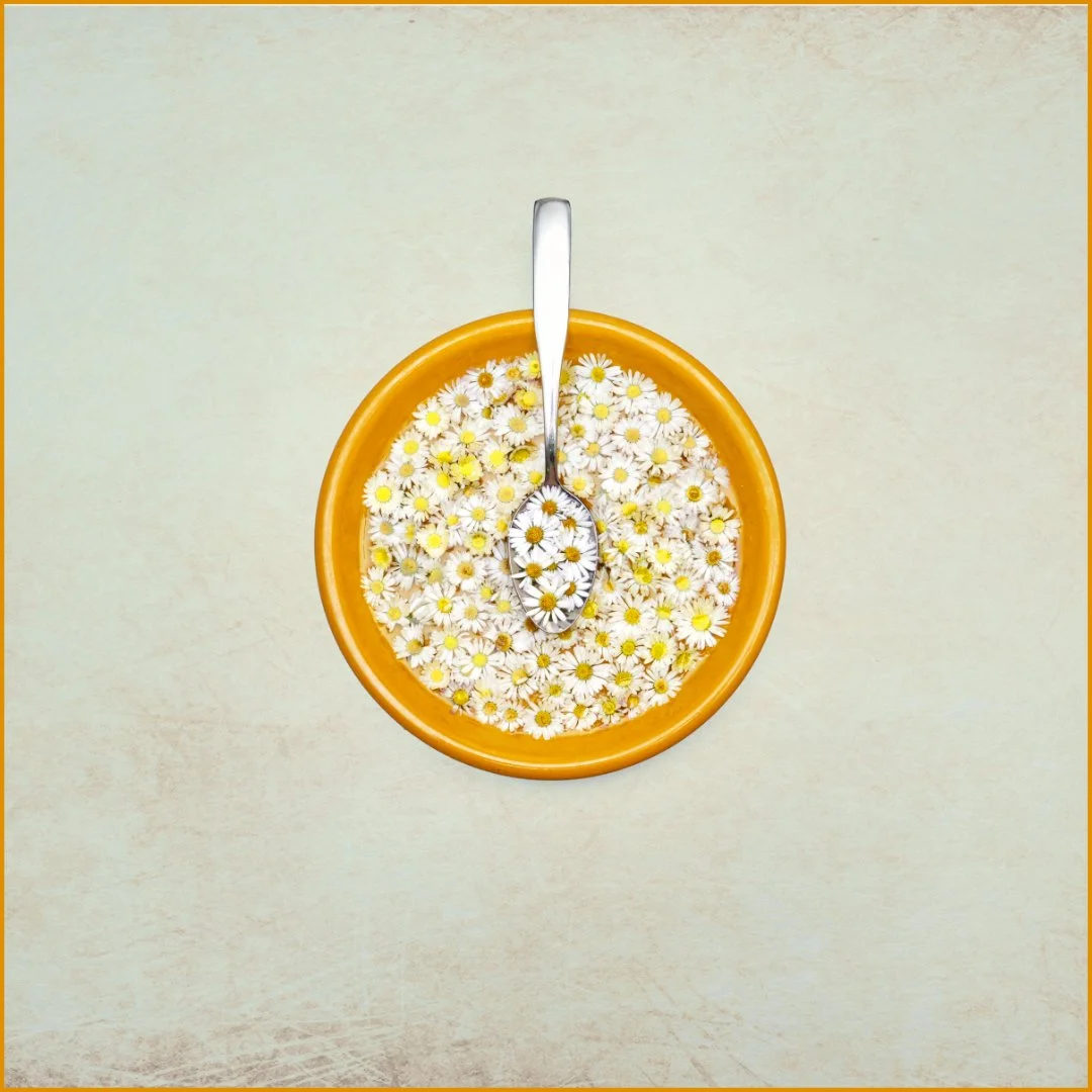 SE A spoonful of daisies.jpg