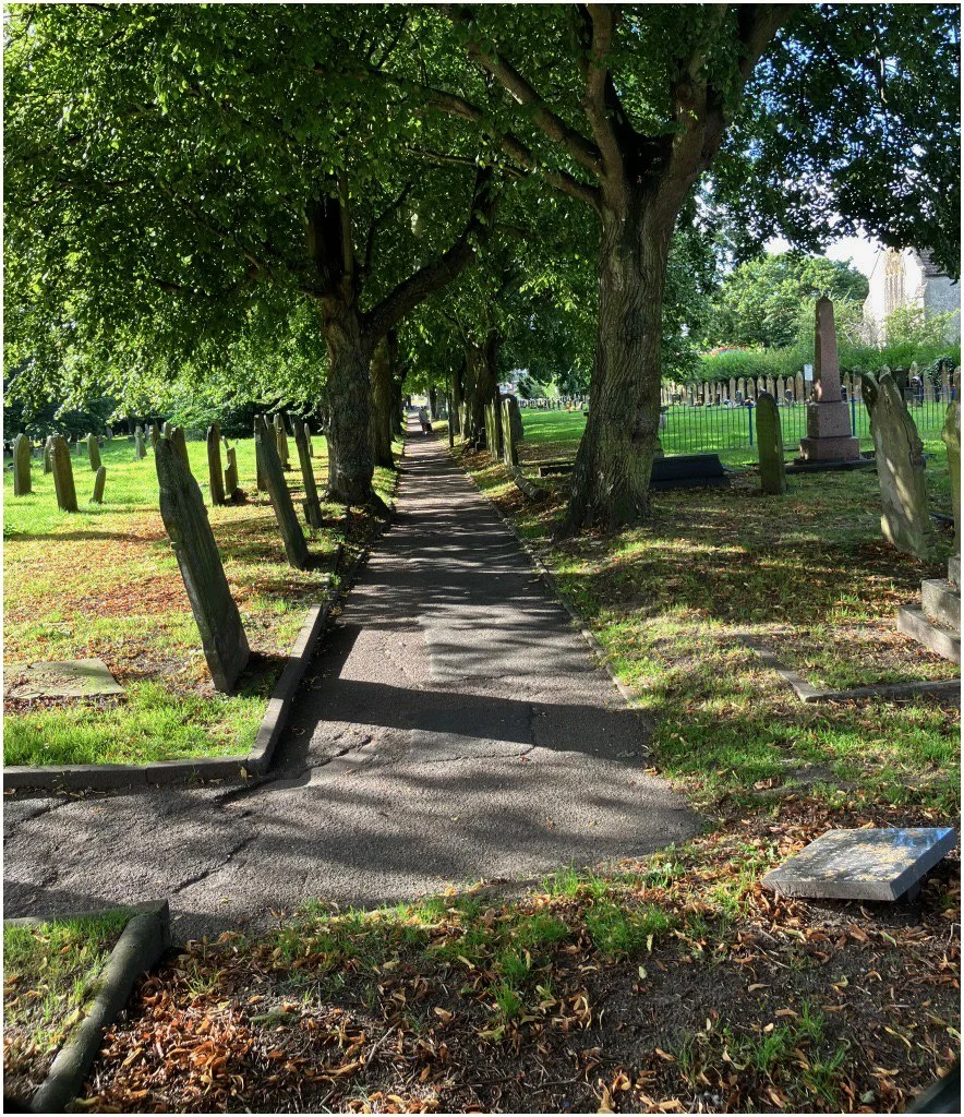 Peaceful View - Peter Nicholls