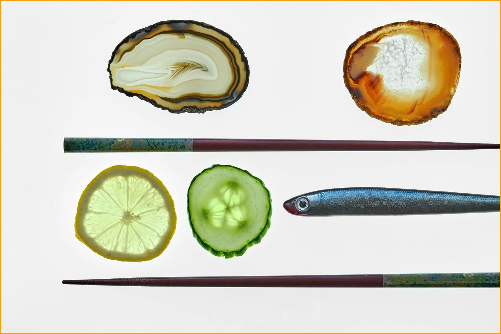 Sashimi Bento - David Cowling