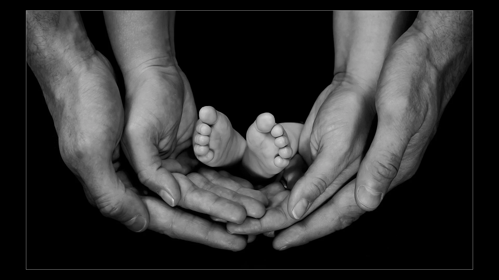 Nurturing hands - RUNNER UP - Paul Colella