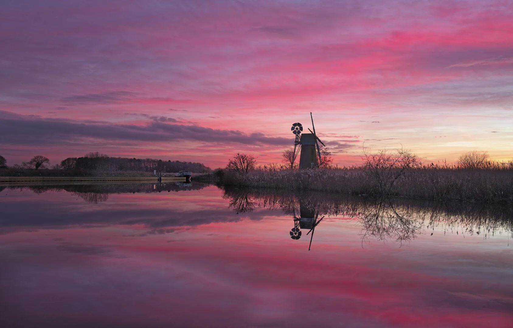 Shepherds Delight - Laurence Kothari