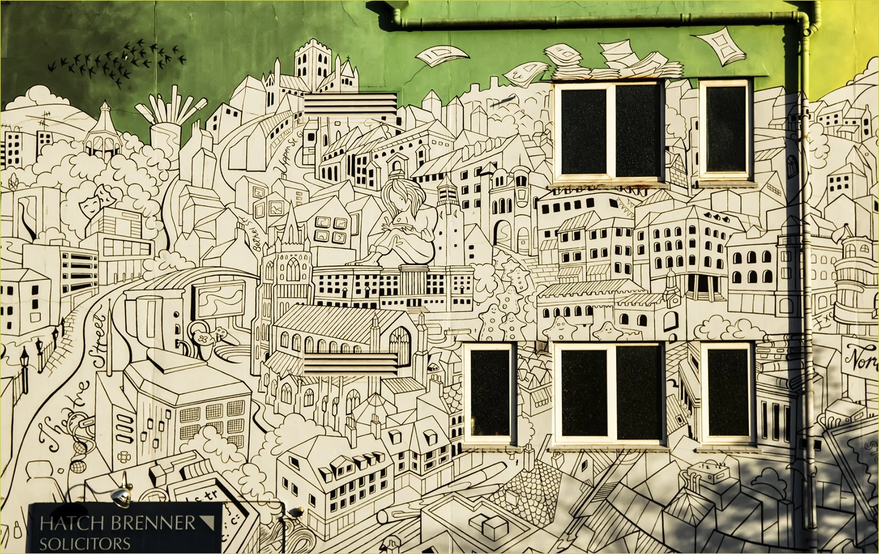 Too many windows - Teresa Chaundy Brain