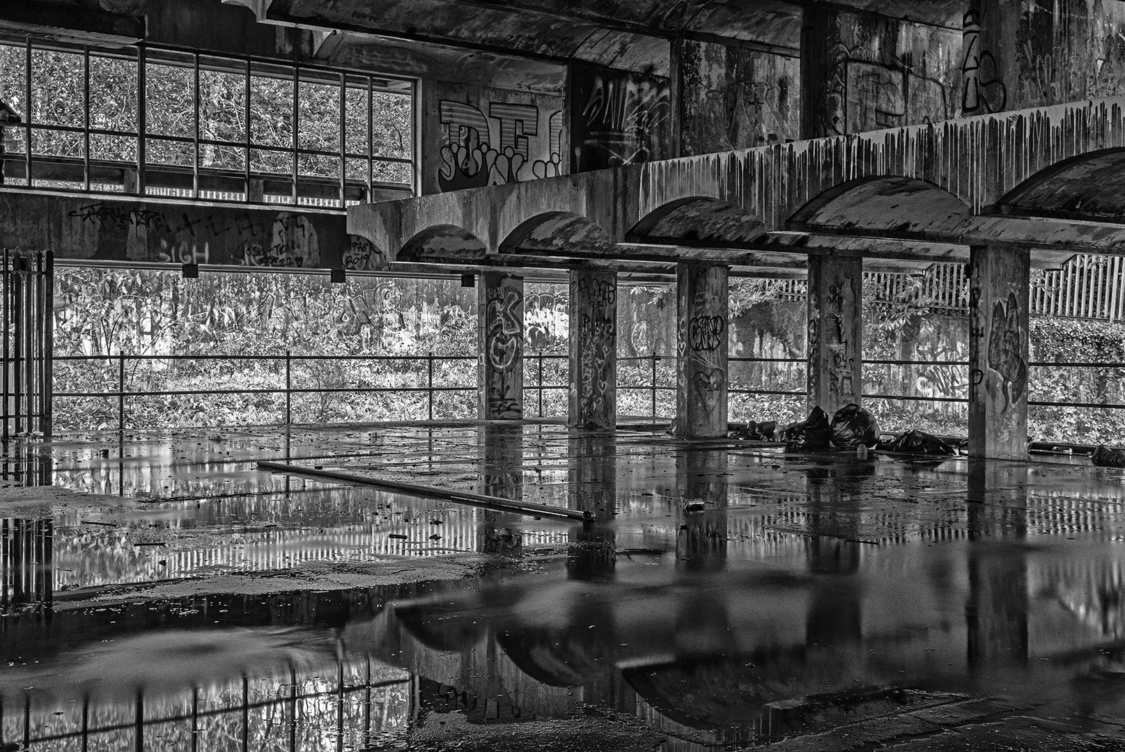 Abandoned seminary cardos - Hazel Farrow