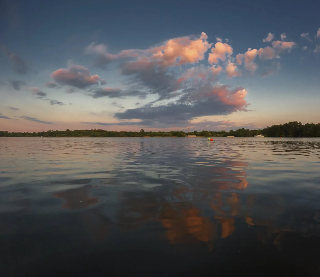 Wroxham Broad. Louise Dolan