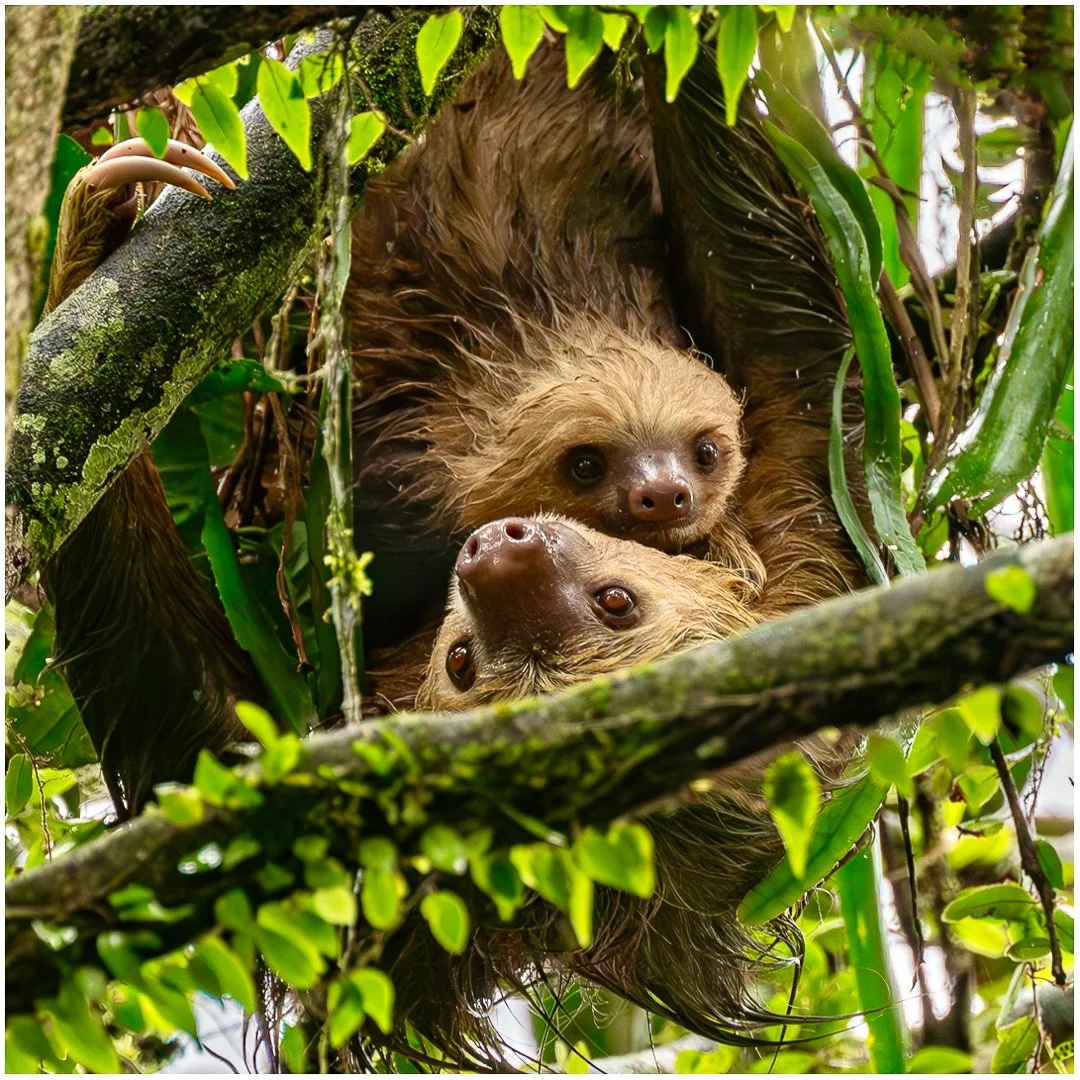 Sheltering from the rain - Sandy Cowley LSINWP