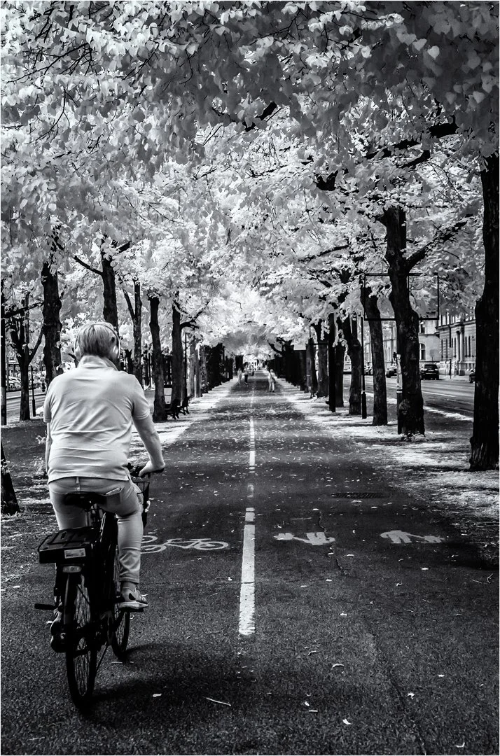 Stockholm Cyclist - Rick Hathaway