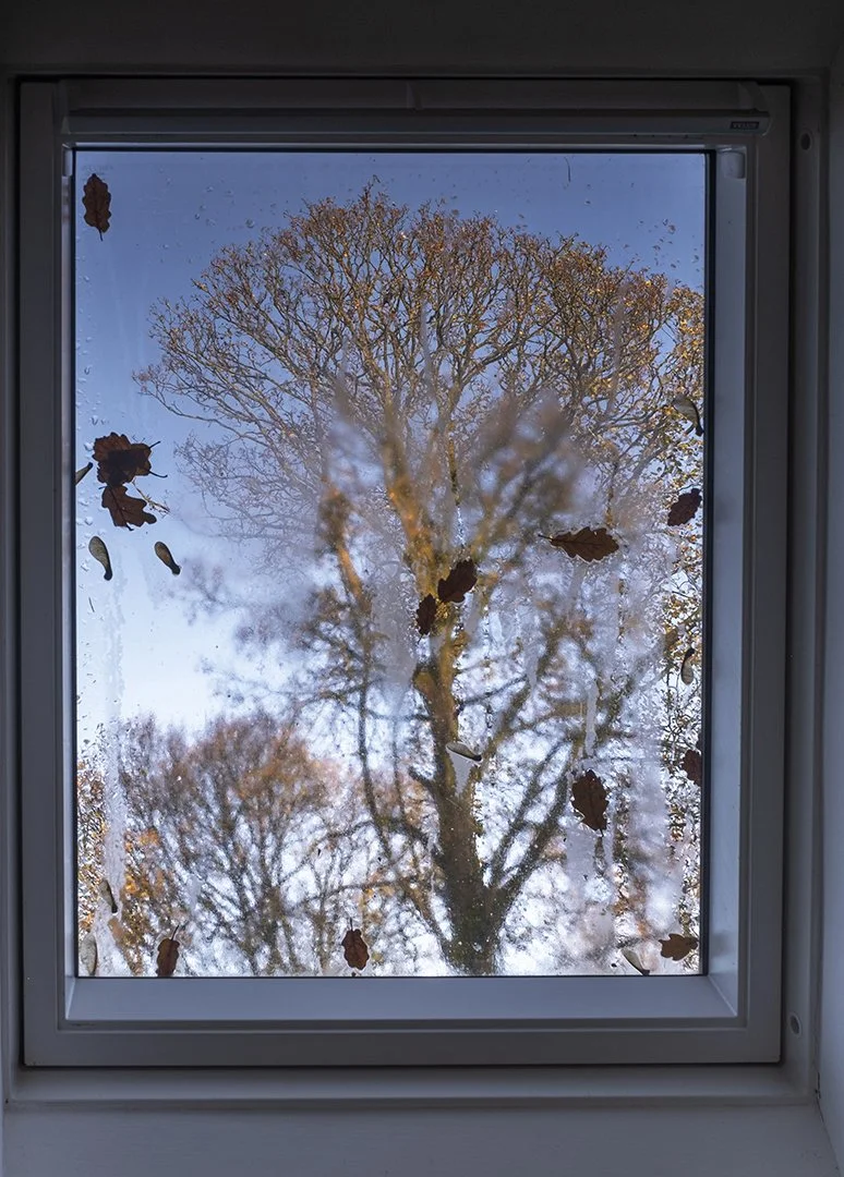 Autumn Outside - Hazel Farrow