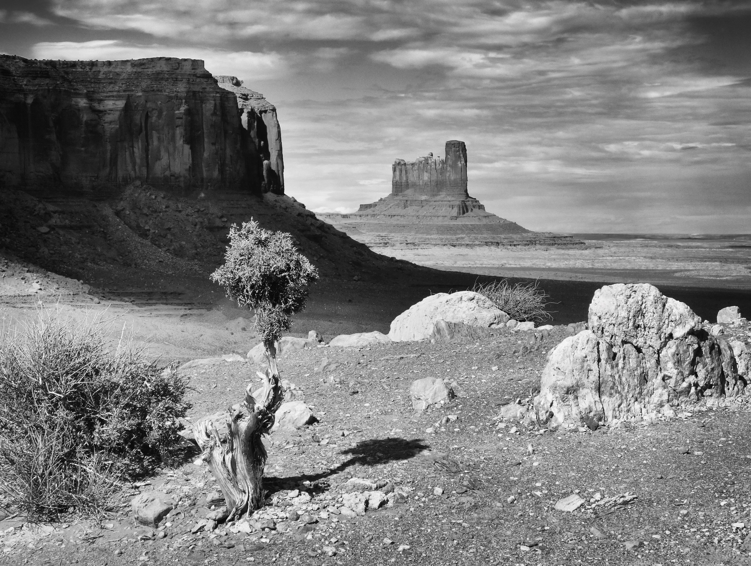 Runner Up Monument Valley Utah Richard Courridge
