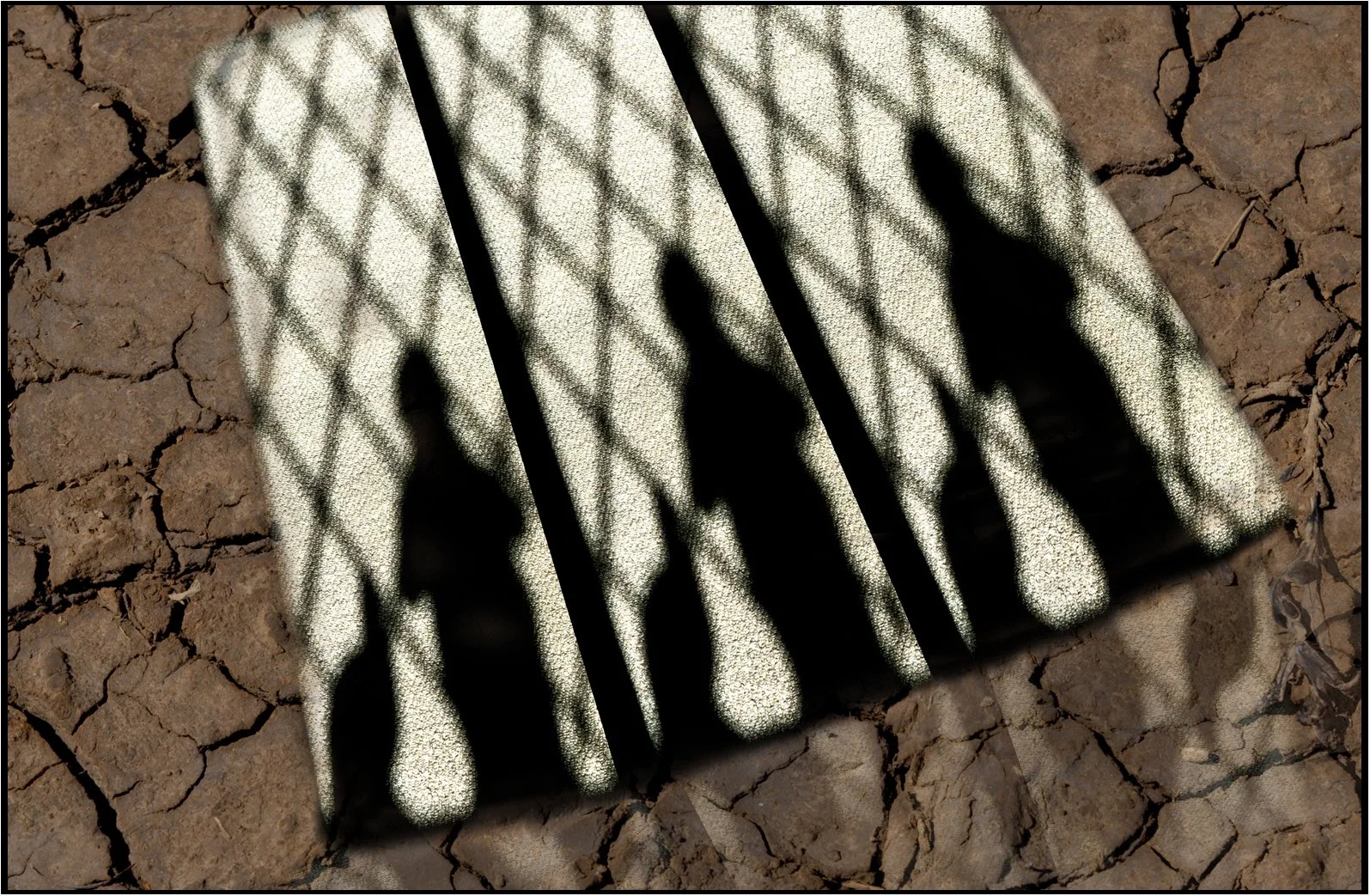 From my window - Margaret Churchill