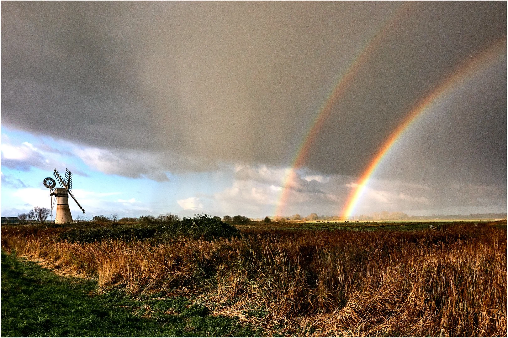 Runner Up Joint  Rainbow David Cowling