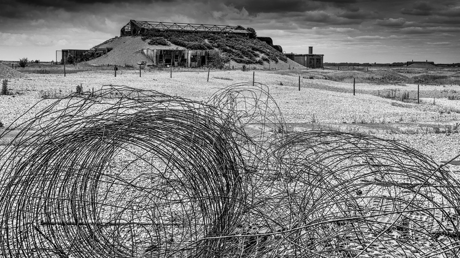 End of the cold war - Louise Dolan