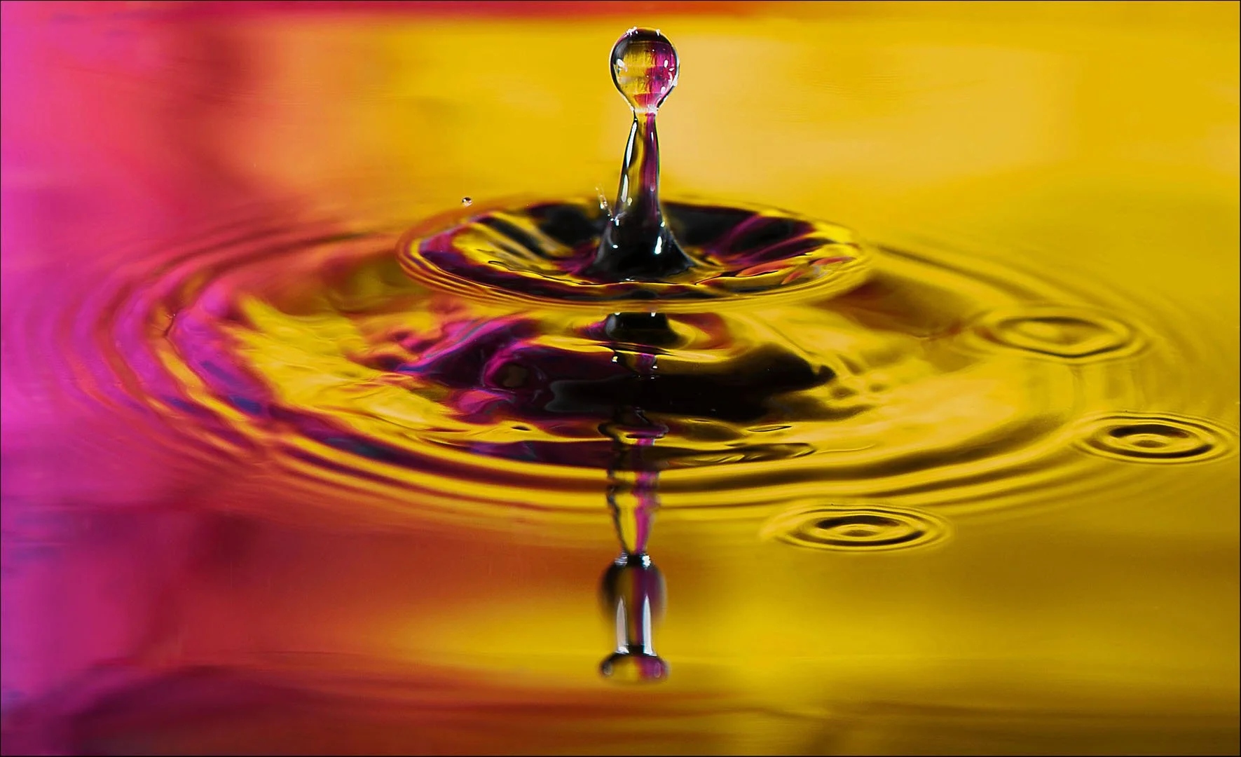 Double drop - Margaret Churchill