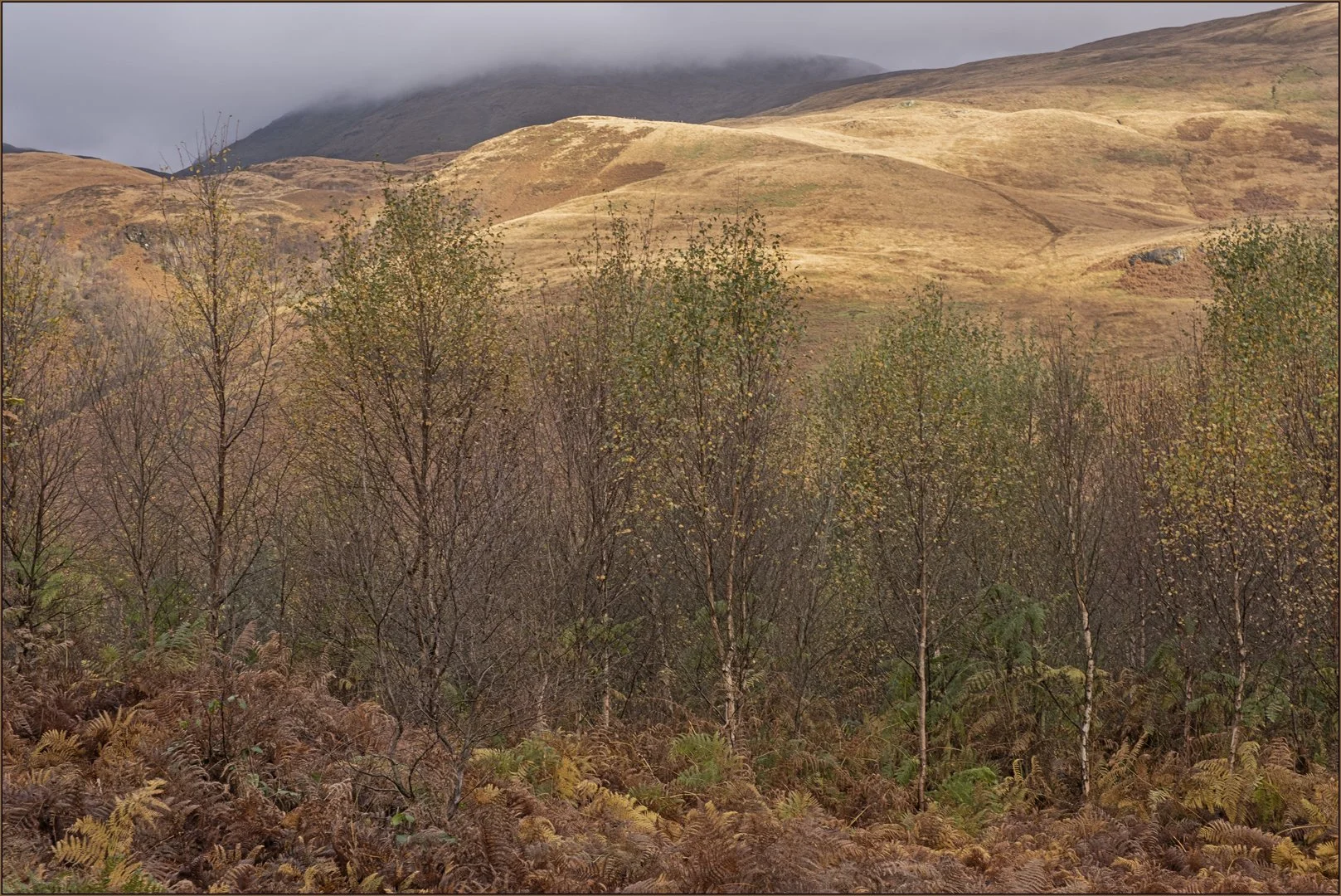 Autumn in the Scottish highlands - Hazel Farrow