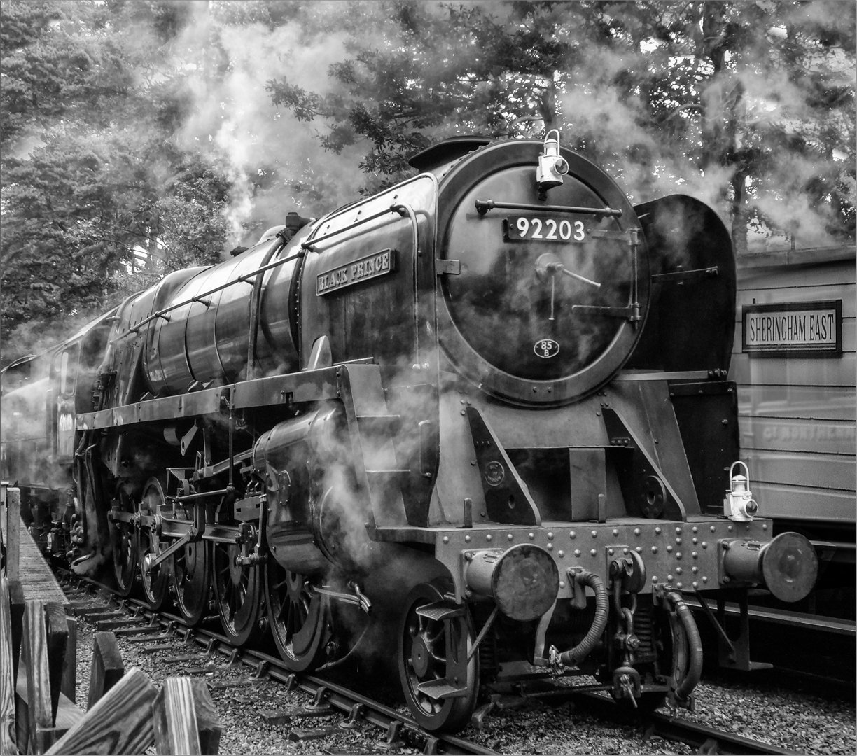 The black prince - Margaret Chruchill