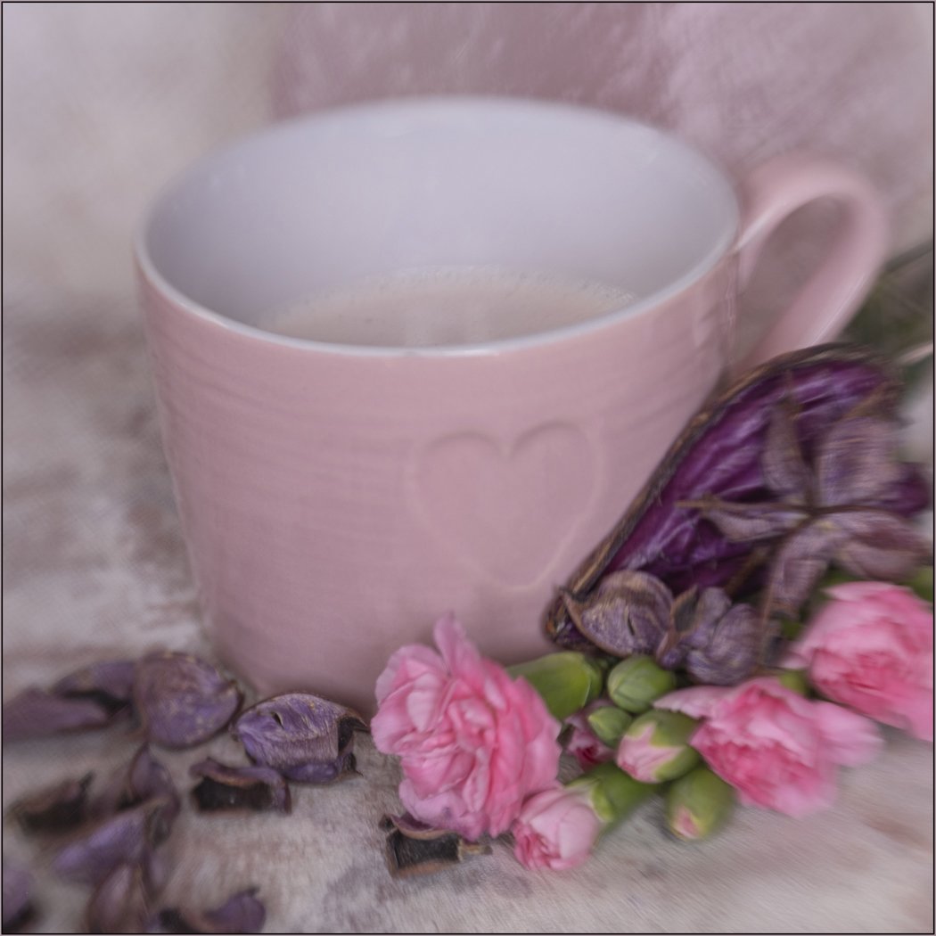 Pink + Purple = Magenta - Hazel Farrow LRPS